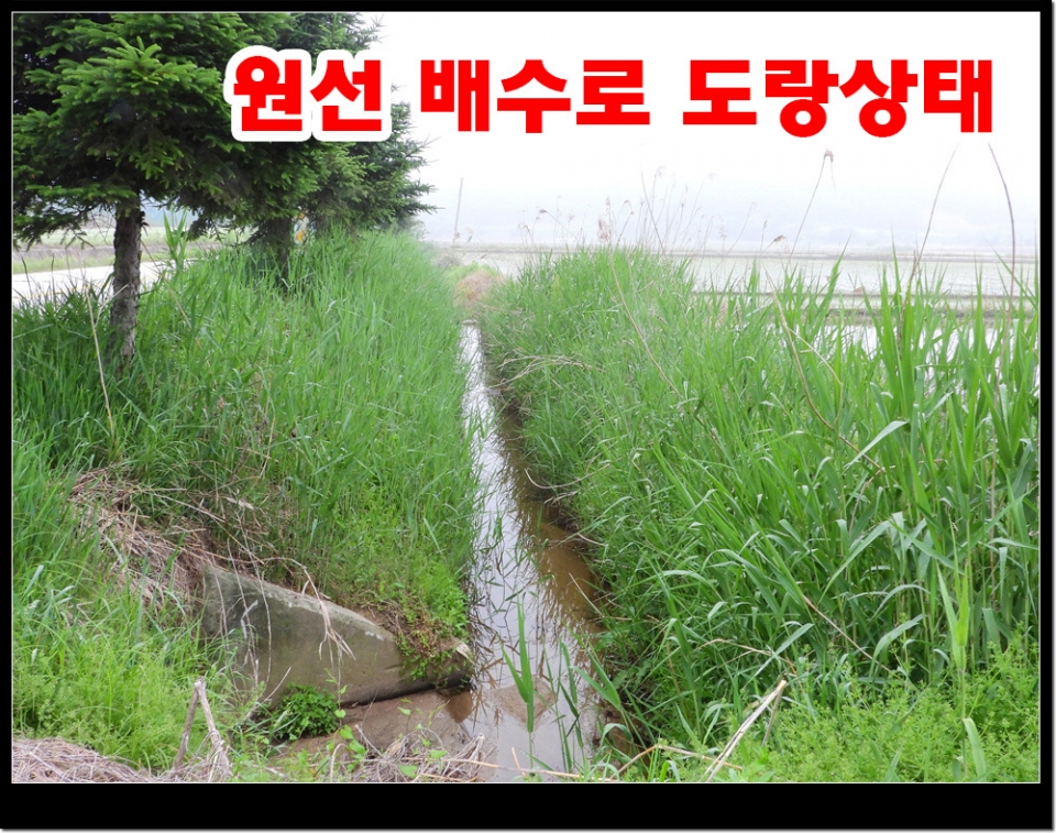 배수로원선중 300여m가 도랑으로 되어있다. 중간지점에 배수로만 송사를 한다것은 원초적으로 공사 설계가 질못된 것이다.
