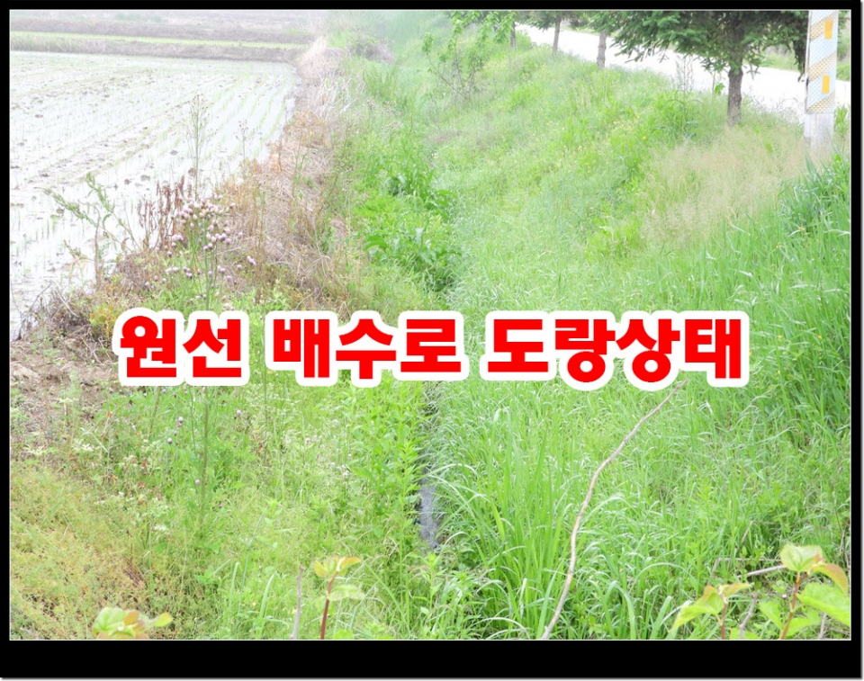 배수로원선중 300여m가 도랑으로 되어있다. 중간지점에 배수로만 송사를 한다것은 원초적으로 공사 설계가 질못된 것이다.