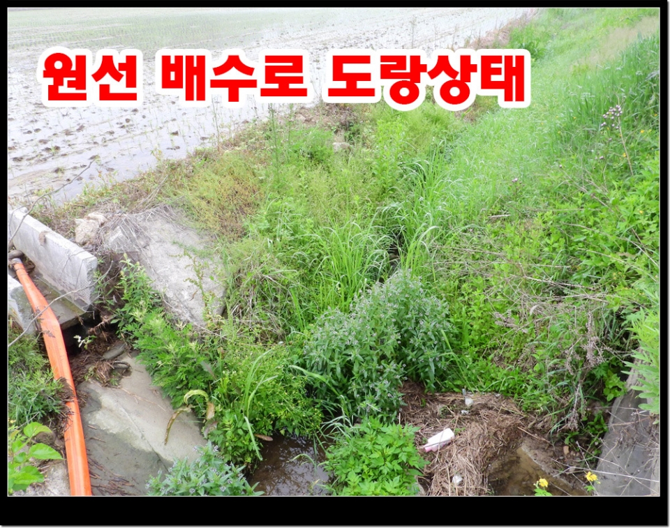 배수로원선중 300여m가 도랑으로 되어있다. 중간지점에 배수로만 송사를 한다것은 원초적으로 공사 설계가 질못된 것이다.