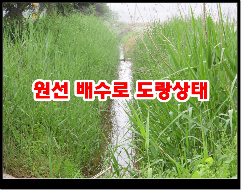 배수로원선중 300여m가 도랑으로 되어있다. 중간지점에 배수로만 송사를 한다것은 원초적으로 공사 설계가 질못된 것이다.