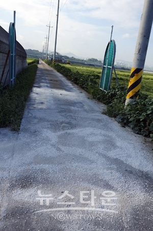 농장 출입구 생석회 도포
