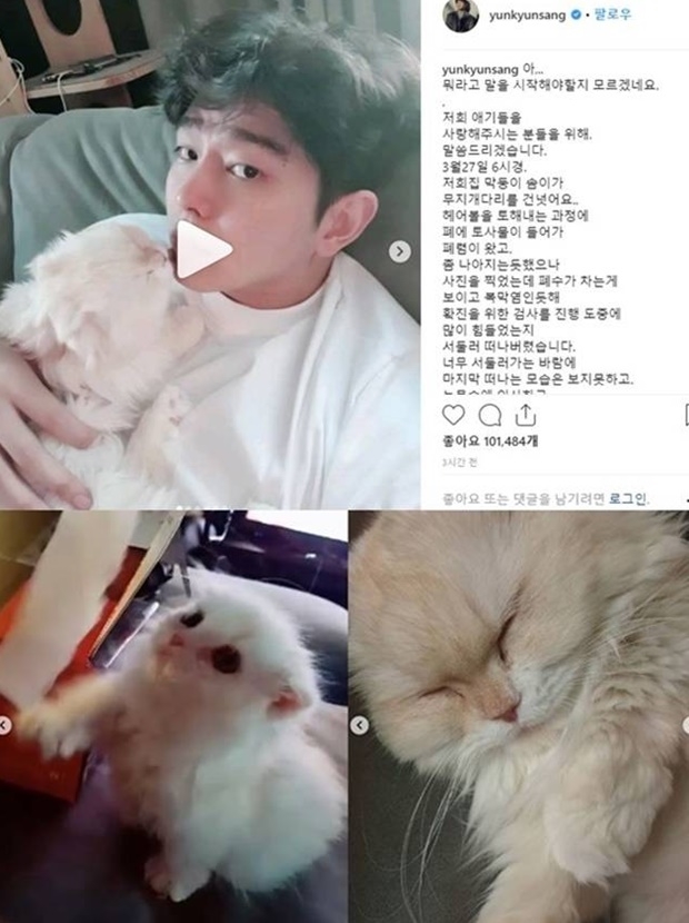 윤균상 솜이 (사진: 윤균상 인스타그램)