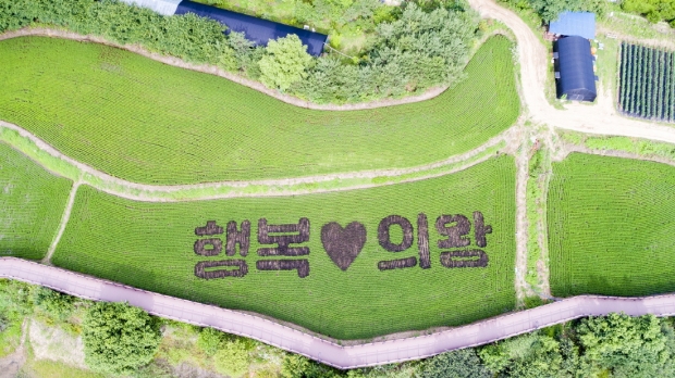 학의동 벼아트