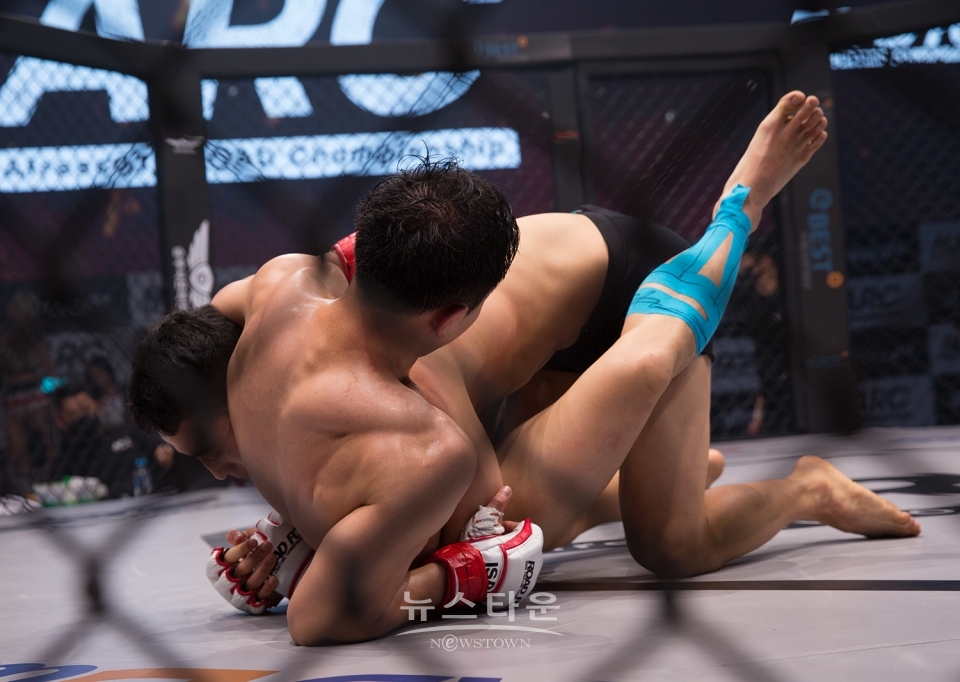 ARC 002 (ROAD FC X 아프리카TV) / 고득용기자 ⓒ뉴스타운