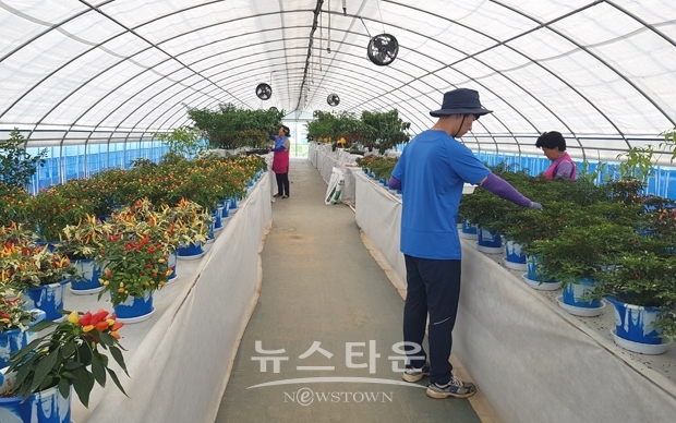 세계고추전시관