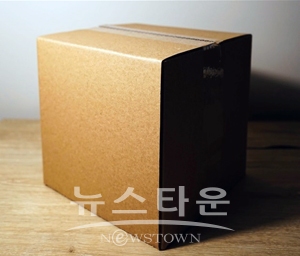 이케이네트웍스