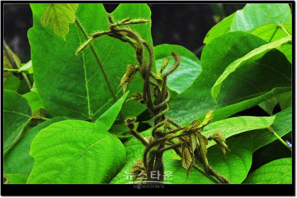 새순이 만든 예술작품