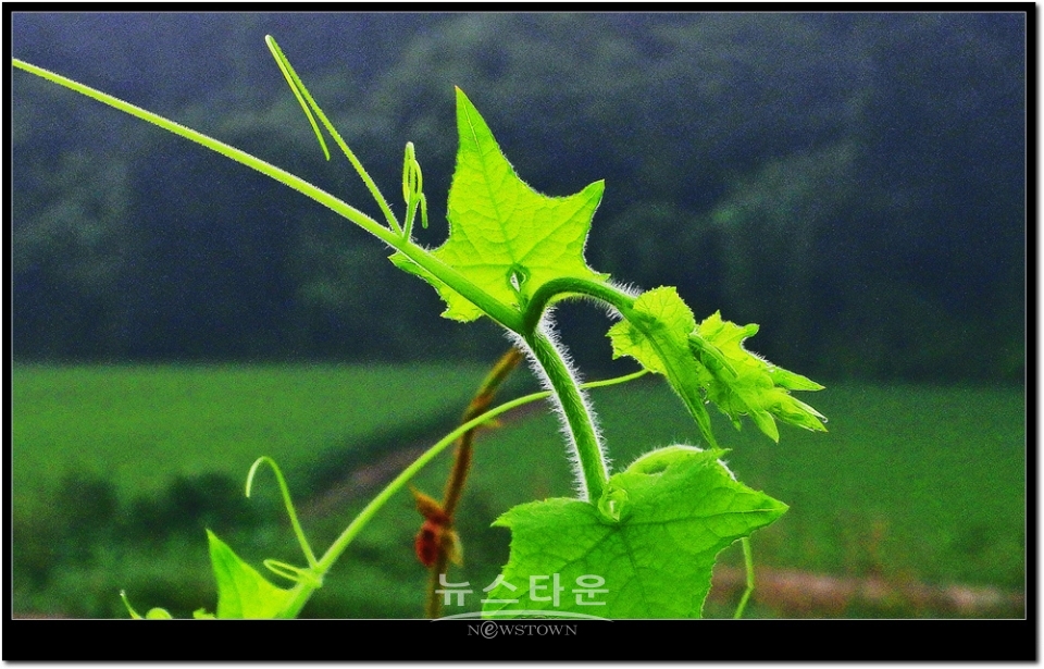 새순이 만든 예술작품