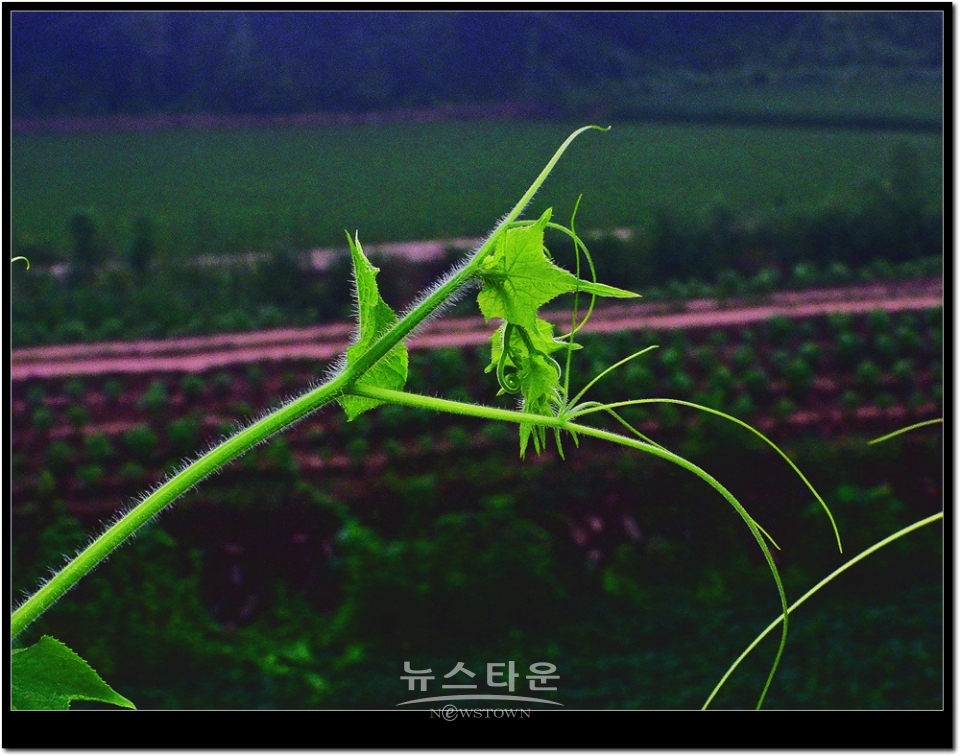 새순이 만든 예술작품