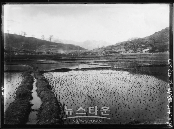 하남관 사진