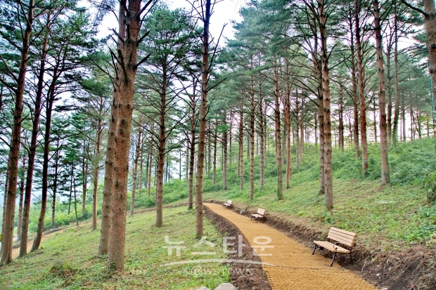 산림청은 9월의 명품 숲으로 경남 함양군의 삼봉산 자연 휴양림을 선정했다(사진-산림청)