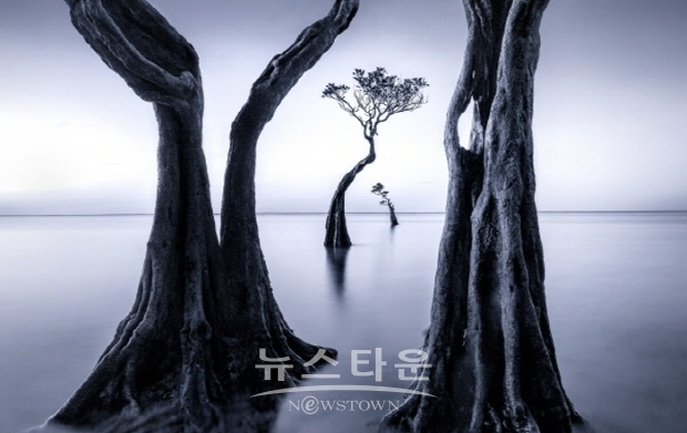 (김한정 기자)