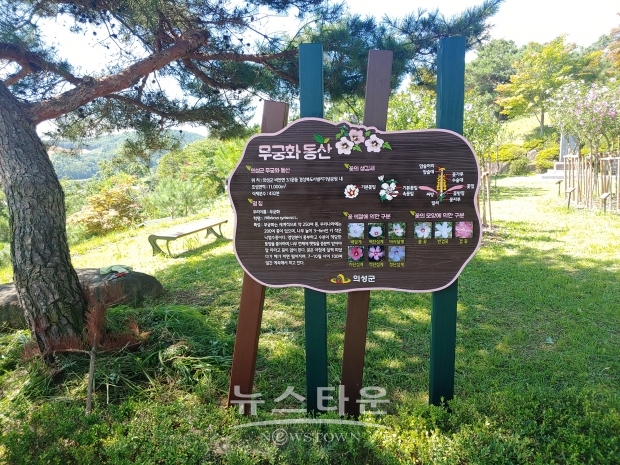 산림청은 2021년 생활권 무궁화동산 사업지 17개소 선정 했다. 선정 지역에는 각 개소당 5000만원의 국비와 5000만원의 시비를 투입해 건설하게 된다. 사진은 2020년 선정된 경북 의성의 무궁화 동산 (사진-산림청)