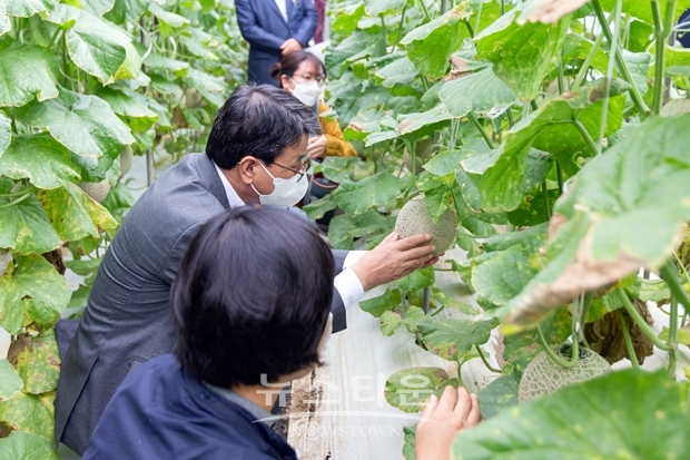 지난 10월 13일 장평면 분향리 한 재배농가에서 ‘가바론’ 실증시험 평가회를 열고 첫 수확한 가바론의 우수성을 알렸다.