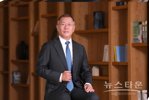 현대자동차그룹 정의선 회장