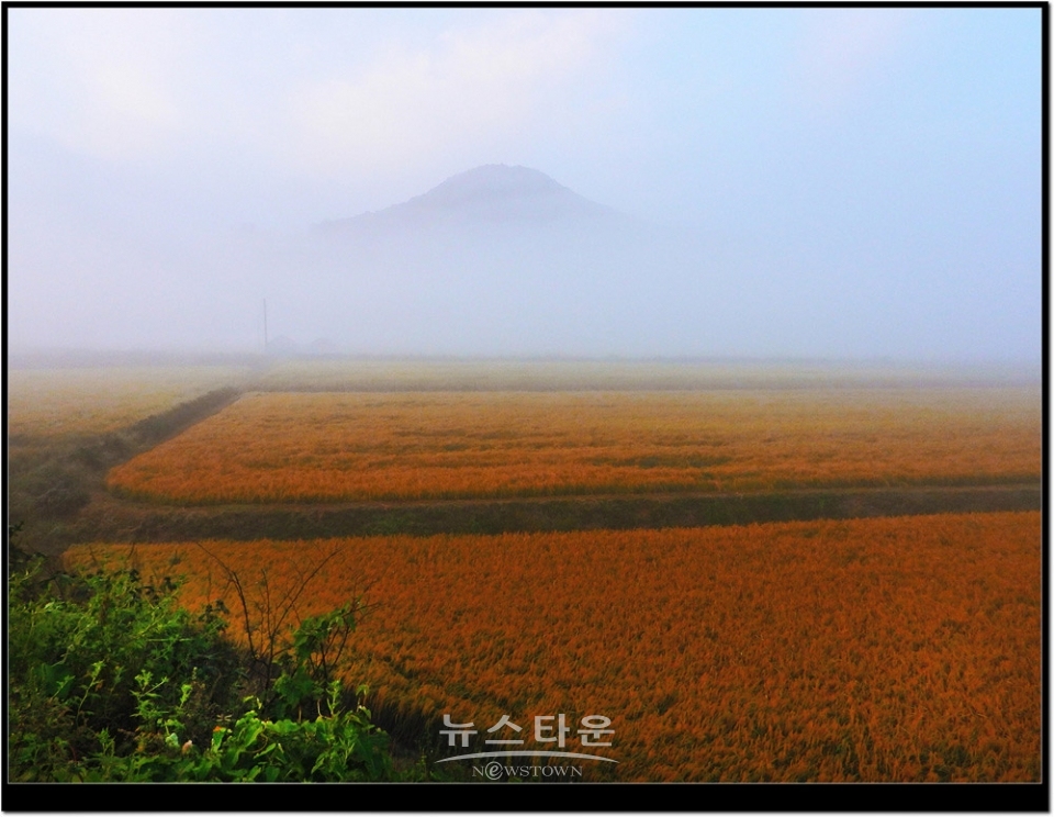 농촌의 가을