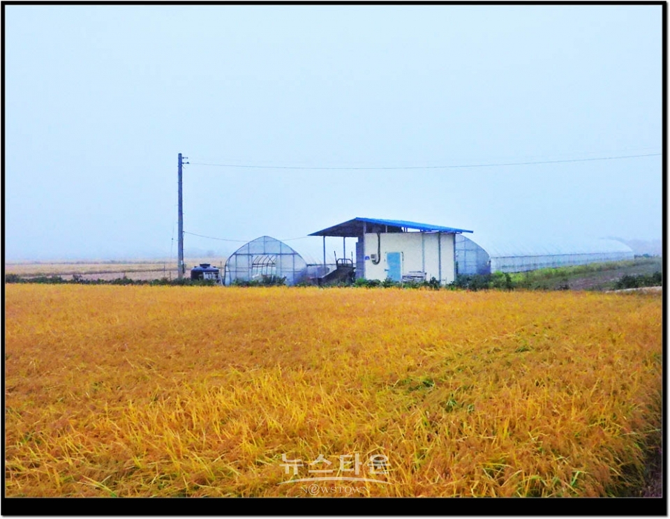 농촌의 가을