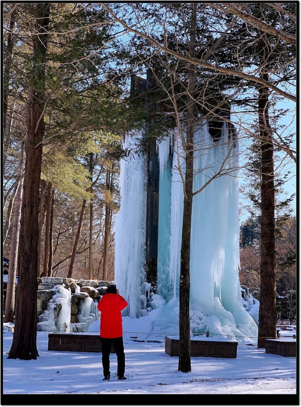 사진=남이섬 제공
