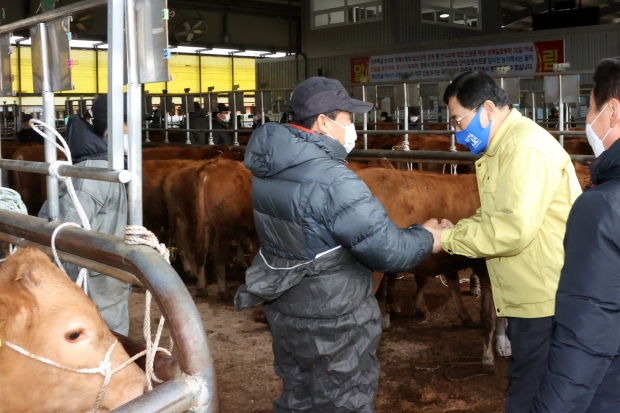 주낙영 겨주시장이 25일 경주가축시장을 직접 찾아 운영현황과 가축거래실태를 살펴보고 축산농가의 애로사항을 경청하고 격려하고 있는 모습