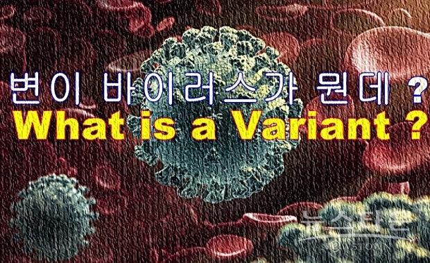 25일(현지시간) 로이터 통신 보도에 따르면, “B.1.1.7”로 불리는 이 변이 바이러스는 영국에 퍼져 있는 다른 형에 비해 전염력이 최대 70% 높은 것으로 알려져 이미 세계 곳곳에서도 감염이 확인됐다. 영국형은 이미 60개국, 남아공형 변이 바이러스는 23개국, 총 83개국에 변이 바이러스가 확산됐다.