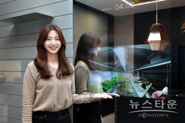 RAI 라이프관 주방 공용부에 설치된 스마트팜