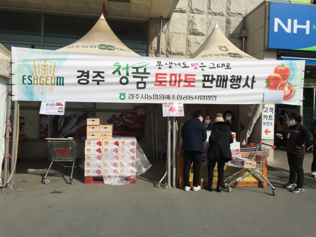 경주농협 하나로마트 특판매장에서 ‘경주시 청품 토마토’ 특별판매행사를 진행하고 있다