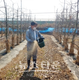 과원 환경개선용 미생물제 공급