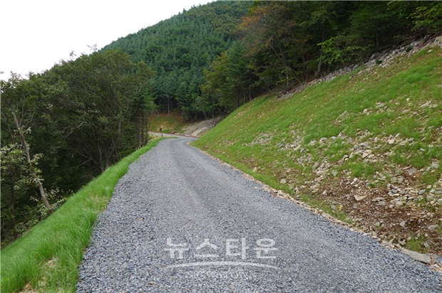 보령시 옥마산 임도