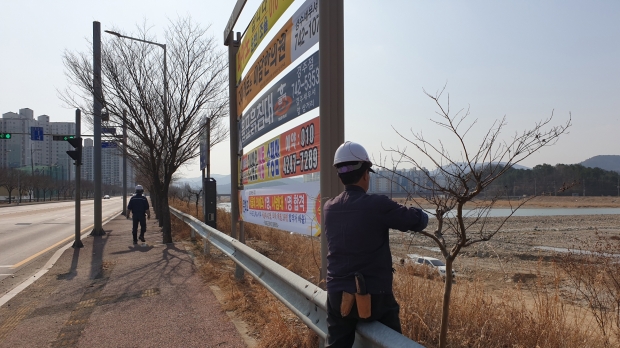 경주시에서 도로변의 가로수 가지치기 작업을 펼치고 있다.