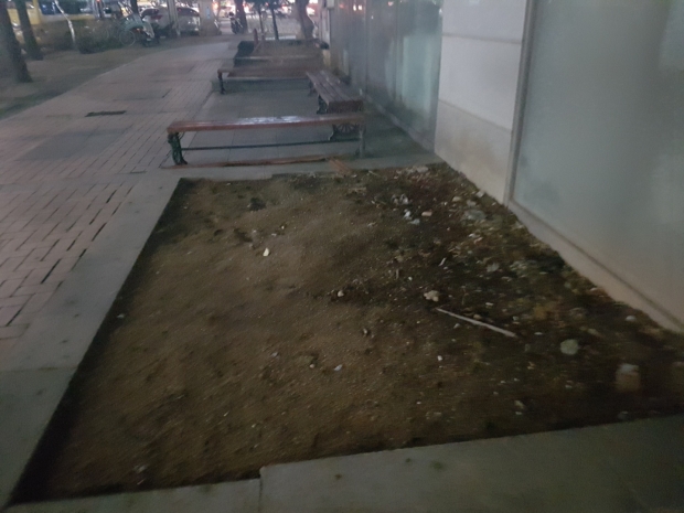건물측 화단 오염도가 심각하고 녹지공간의 복구가 요구된다.,