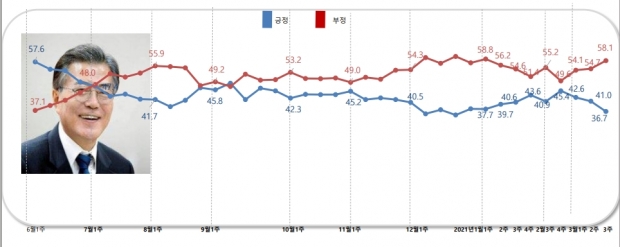 알앤써치 자료.
