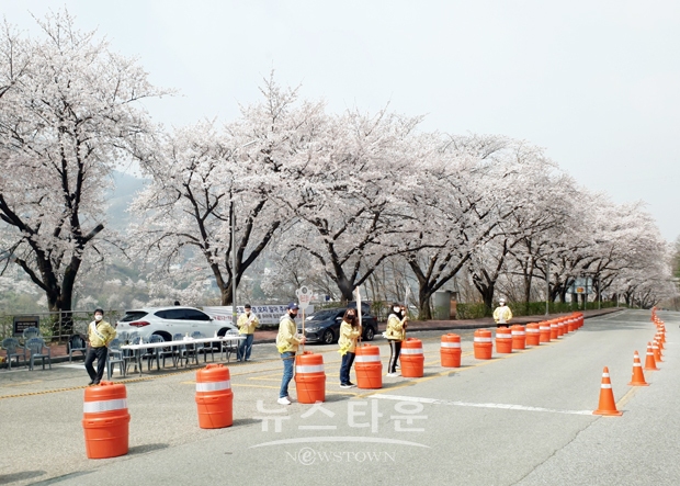 지역 내 주요 벚꽃 개화지에 대해 강력한 사회적 거리두기 행정명령 발령