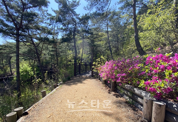 내포사색길