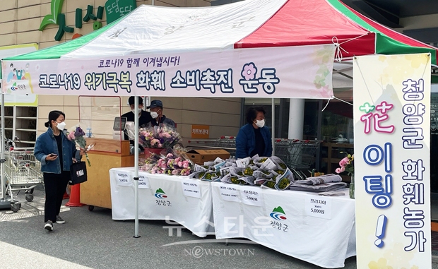 세종시 화훼 특별판매전