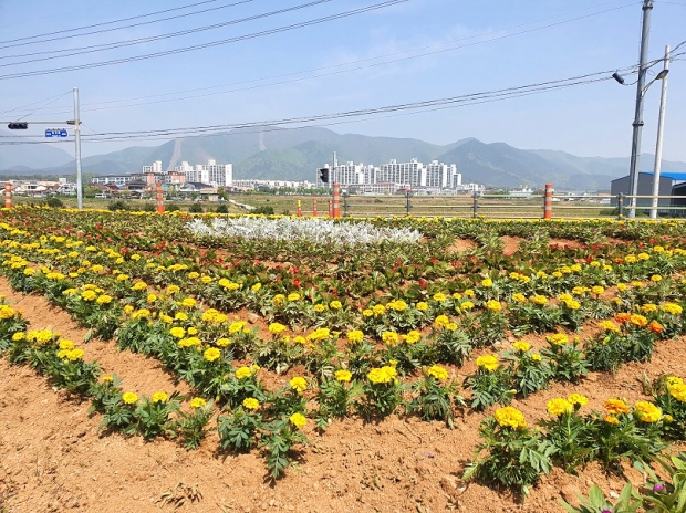 안강읍 산대리 일원에 조성된 작은 정원 ‘교통섬’ 모습
