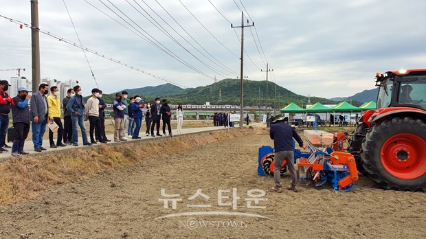 벼 조기 건답직파 현장연시회