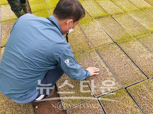 못자리 현장 지도
