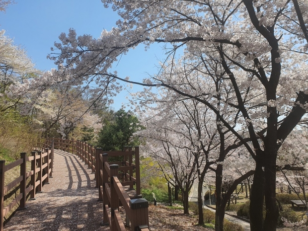 관람로 조성 (김포 국제조각공원)