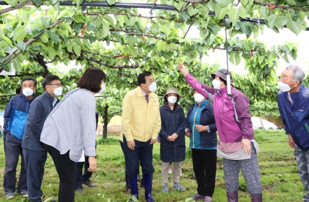 경주시농업기술센터에서 17일 현곡면 무과리 일원에서 주낙영 경주시장과 읍면 배작목(연구)회 회원 등 30여 명이 참석한 가운데 봄철 서리피해 예방을 위한 ‘미온수 살포 프로그램’ 시범 평가회를 진행하고 있다