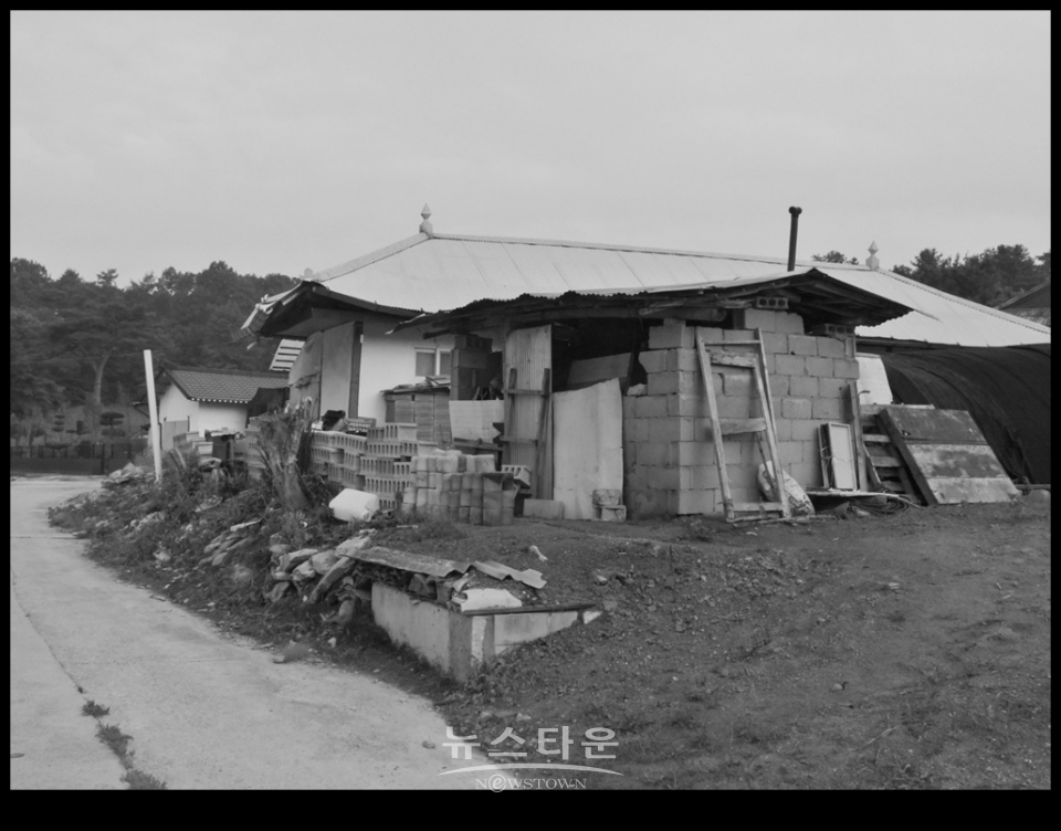흑백사진으로 본 농촌아침