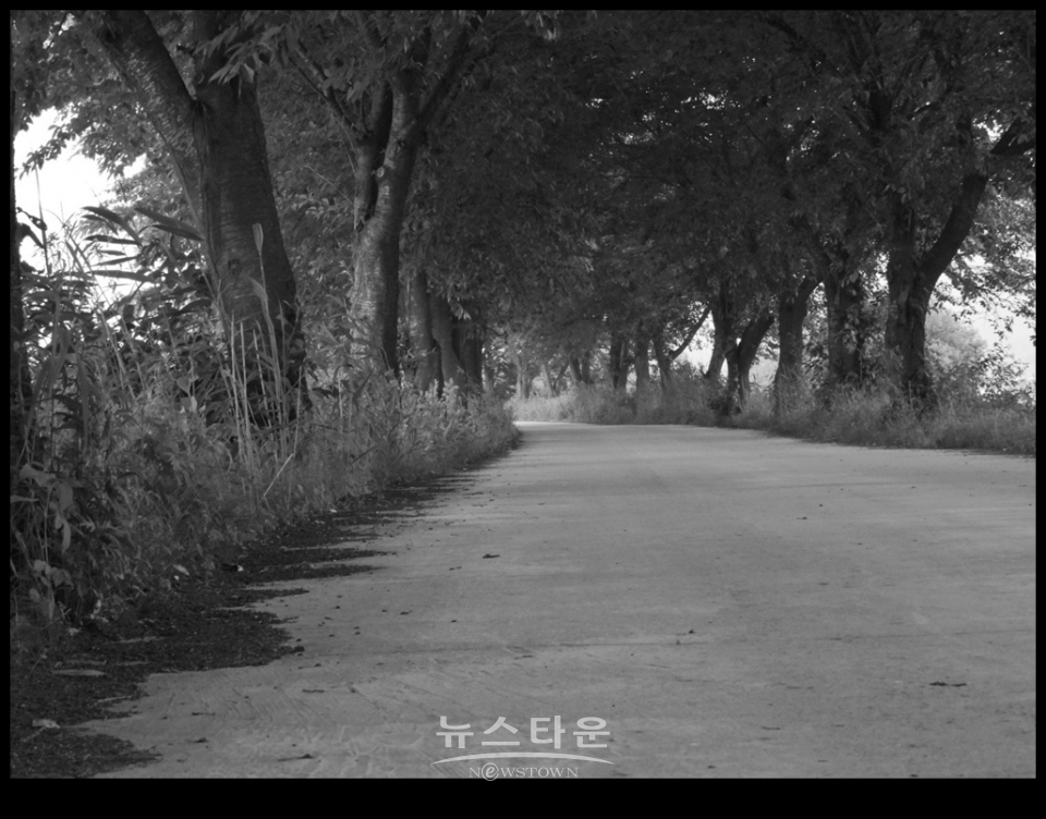 흑백사진으로 본 농촌아침