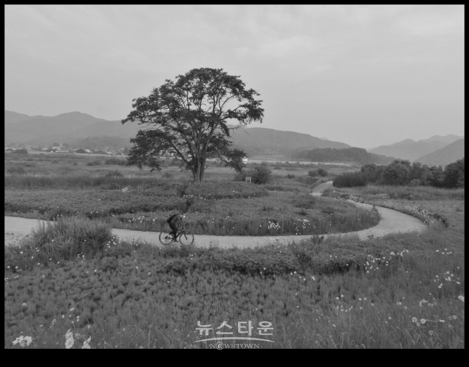 흑백사진으로 본 농촌아침