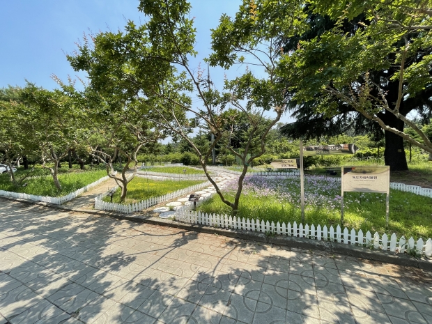 독도자생식물원 전경사진