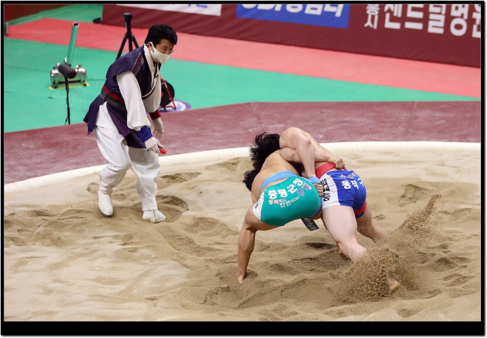 지난대회 자료사진
