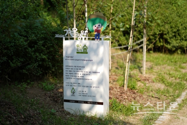 서울그린트러스트가 유한킴벌리와 함께 조성한 겨울정원2(사진 :서울그린트러스트)