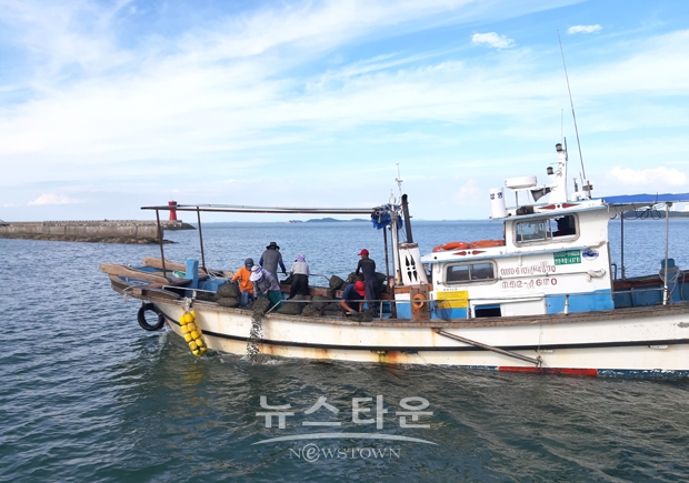 바지락 종패 방류