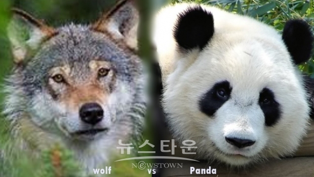 미-중 양국은 강대국 경쟁의 단계로 접어들었다”며 “미중 양국은 현재 진행 중인 전략적 싸움이 오랜 현상으로 자리 잡게 될 것”이라며 “점증하는 적대감은 양국 고위 외교관들 사이의 직업적인 겸손, 상호 존중, 신뢰를 고갈시켰다