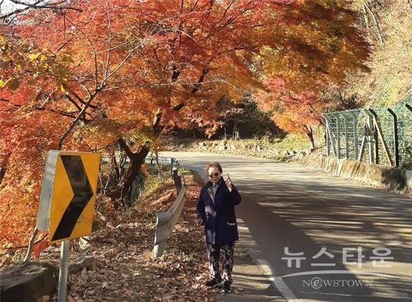 지난해 초록여행을 통해 가을 여행을 즐기고 있는 고객(사진 : 기아초록여행)