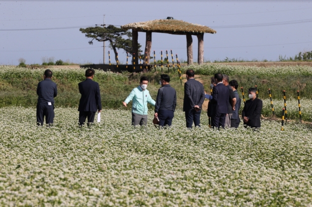 지난 6월 이강덕 포항시장 호미곶 메밀꽃 단지 현장 방문