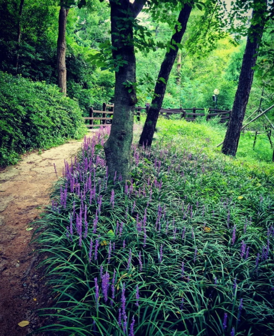 수상작(동해 산림체육공원)